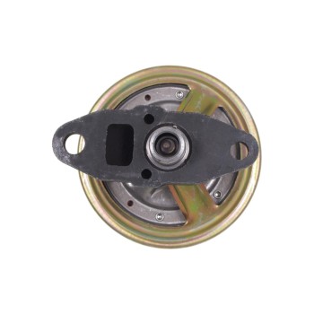 Exhaust Gas Recirculation (EGR) Valve