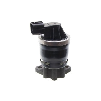 Exhaust Gas Recirculation (EGR) Valve