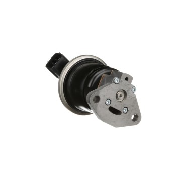 Exhaust Gas Recirculation (EGR) Valve