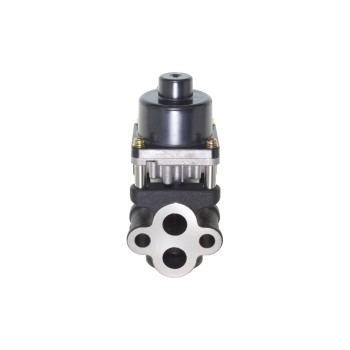 Exhaust Gas Recirculation (EGR) Valve