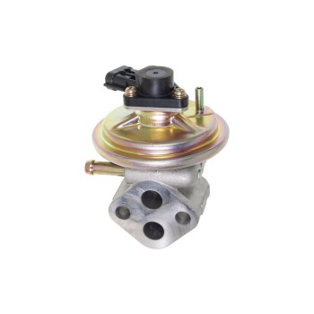 Exhaust Gas Recirculation (EGR) Valve