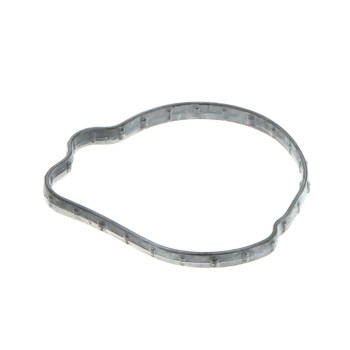 Fuel Pump Mounting Gasket