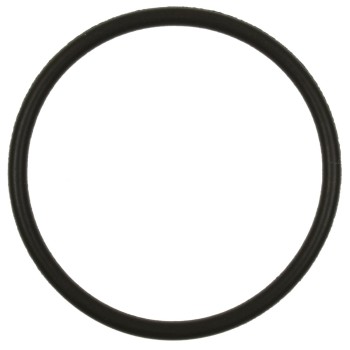 Fuel Pump O-Ring
