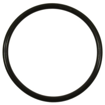 Fuel Pump O-Ring