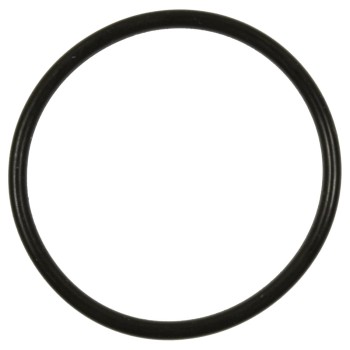 Fuel Pump O-Ring