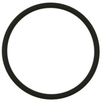 Fuel Pump O-Ring