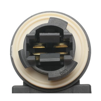 Brake Light Socket