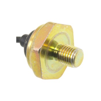 Ignition Knock (Detonation) Sensor