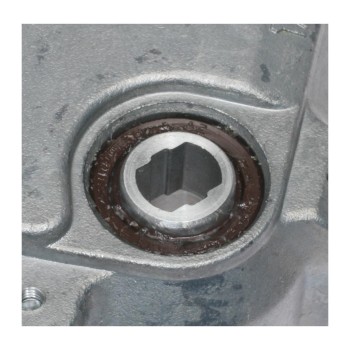 Neutral Safety Switch