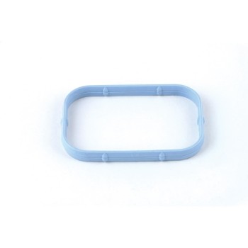 Fuel Injection Plenum Gasket