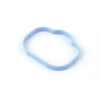 Fuel Injection Plenum Gasket