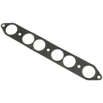 Fuel Injection Plenum Gasket