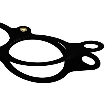 Fuel Injection Plenum Gasket