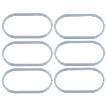 Fuel Injection Plenum Gasket