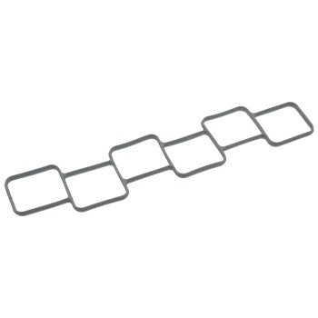 Fuel Injection Plenum Gasket