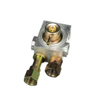 Fuel Injection Pressure Regulator