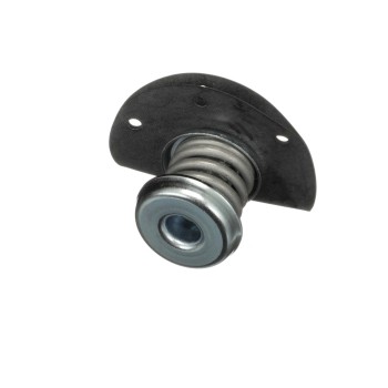 Fuel Injection Pressure Regulator