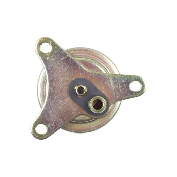 Fuel Injection Pressure Regulator