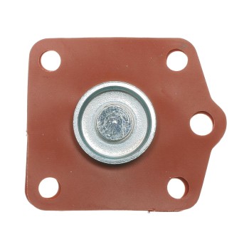 Fuel Injection Pressure Regulator