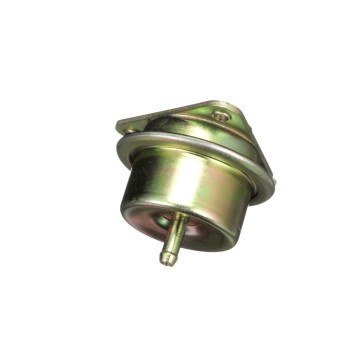 Fuel Injection Pressure Regulator