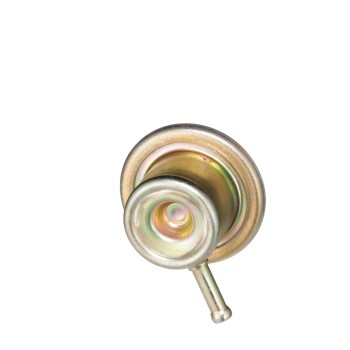 Fuel Injection Pressure Regulator