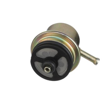 Fuel Injection Pressure Regulator