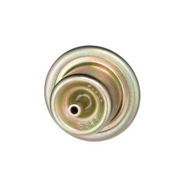 Fuel Injection Pressure Regulator