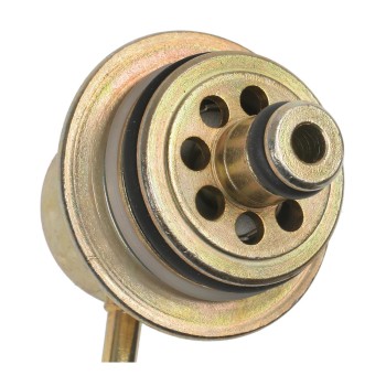 Fuel Injection Pressure Regulator