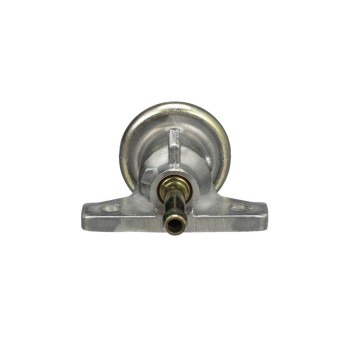 Fuel Injection Pressure Regulator