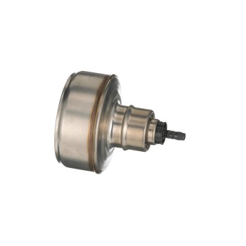 Fuel Injection Pressure Regulator