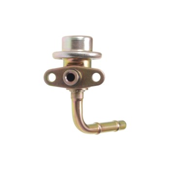 Fuel Injection Pressure Regulator