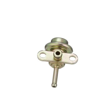 Fuel Injection Pressure Regulator