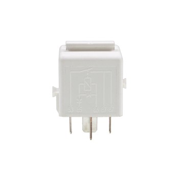 Fuel Injection Relay