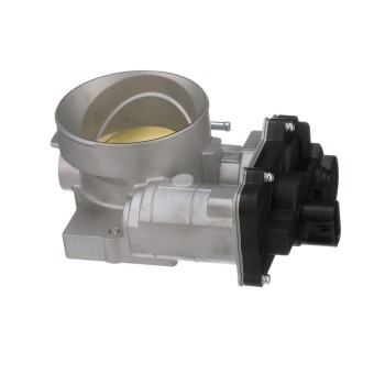 Fuel Injection Throttle Body