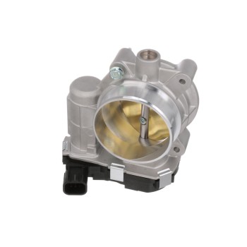 Fuel Injection Throttle Body