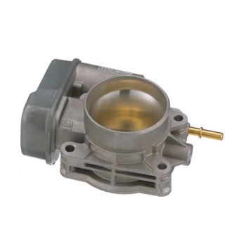 Fuel Injection Throttle Body