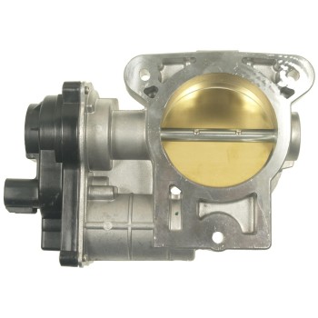 Fuel Injection Throttle Body