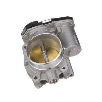 Fuel Injection Throttle Body