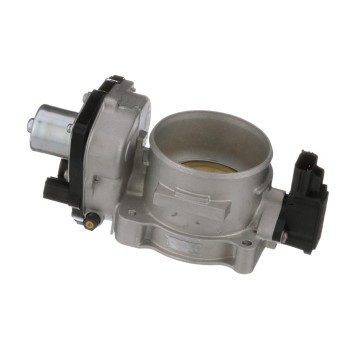 Fuel Injection Throttle Body