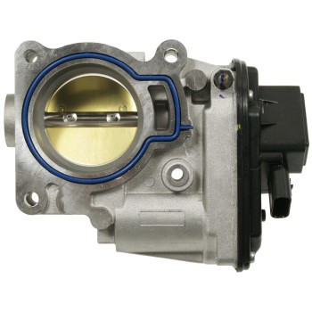 Fuel Injection Throttle Body