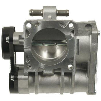 Fuel Injection Throttle Body