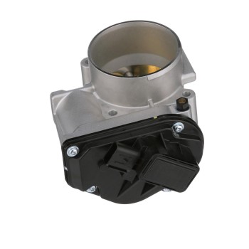 Fuel Injection Throttle Body