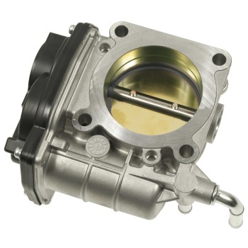 Fuel Injection Throttle Body