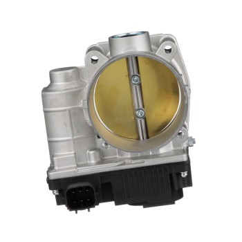Fuel Injection Throttle Body
