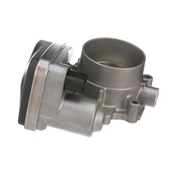 Fuel Injection Throttle Body
