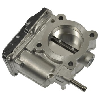 Fuel Injection Throttle Body