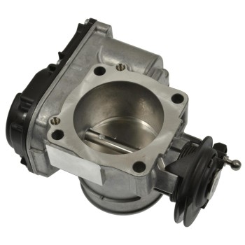 Fuel Injection Throttle Body
