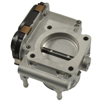 Fuel Injection Throttle Body