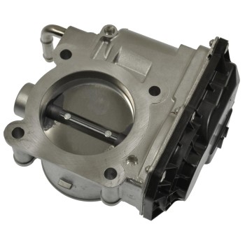 Fuel Injection Throttle Body