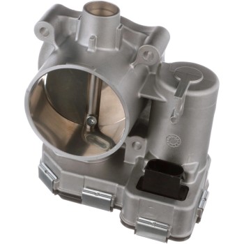 Fuel Injection Throttle Body